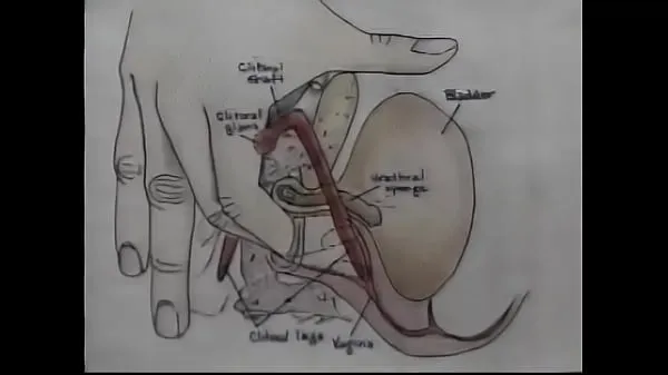 Mira Video de entrenamiento de orgasmos de educación sexual clips cálidos