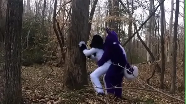 Fursuit Couple Mating in Woods गर्म क्लिप्स देखें