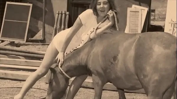 Sehen Sie sich Vintage wilde Frauen & Natur Mädchen warmen Clips an